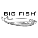 Big fish logo