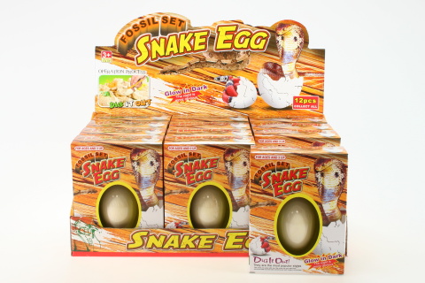 Fotogalerie: Tesání vejce had