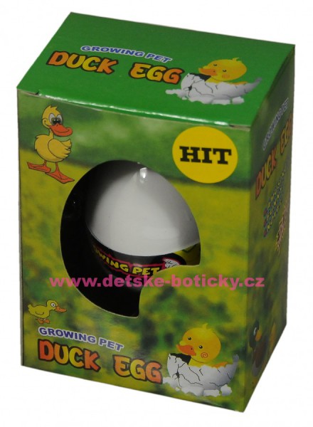Growing pet Duck egg  líhnoucí vejce kachna